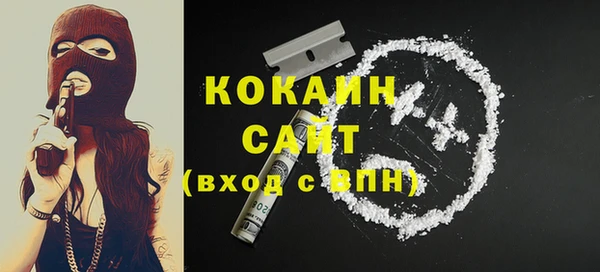 молекула духа Богданович