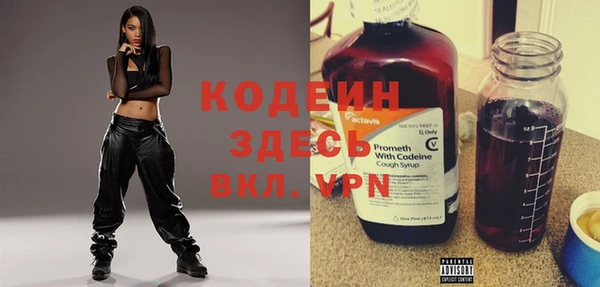 молекула духа Богданович