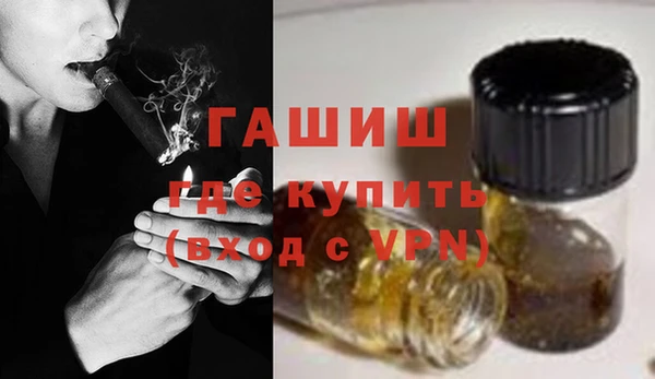 молекула духа Богданович