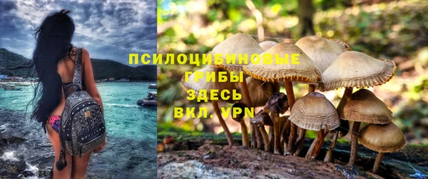 кокаин перу Белокуриха