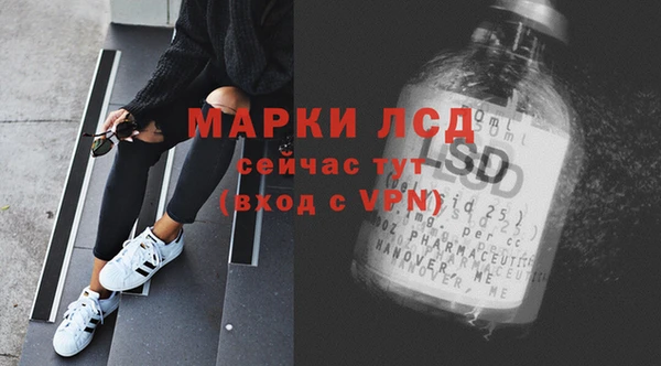 молекула духа Богданович