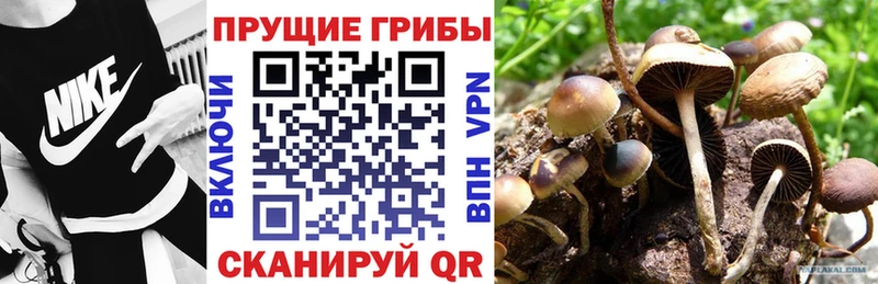 Галлюциногенные грибы мухоморы  Назарово 